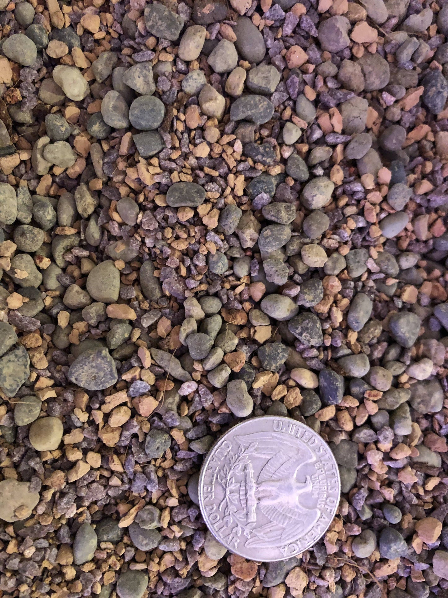 MINI GRIT Cactus & Succulent Premium Potting Mix: 1/2 Gallon