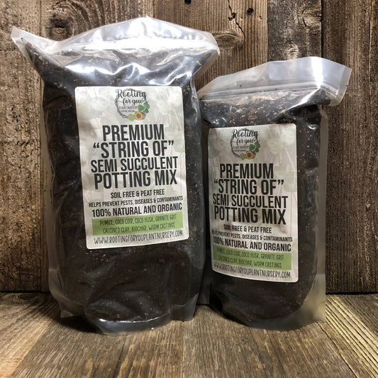 STRING OF SEMI SUCCULENT Premium Potting Mix: 1/2 Gallon