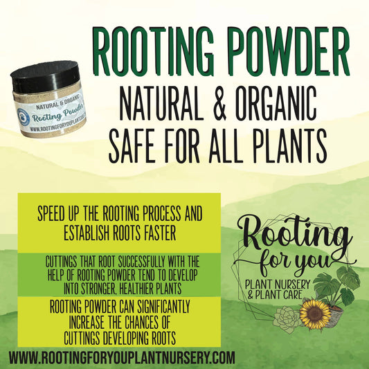 Rooting Powder - Vegan - Organic - Oregon Licensed Nursery -: 2oz