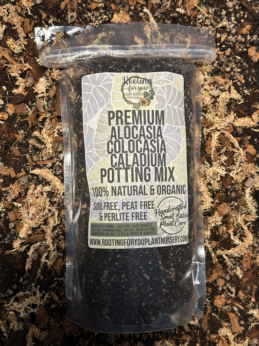Alocasia Colocasia Caladium Premium Potting Mix: 1/2 Gallon