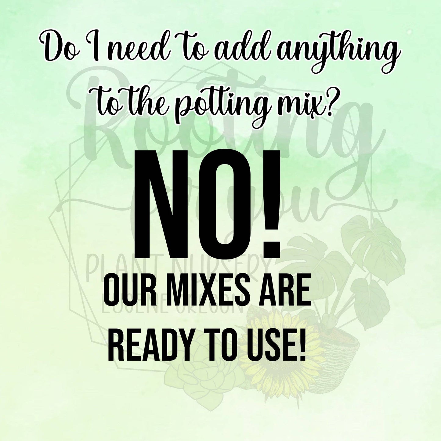 African Violet Premium Potting Mix: 1/2 Gallon