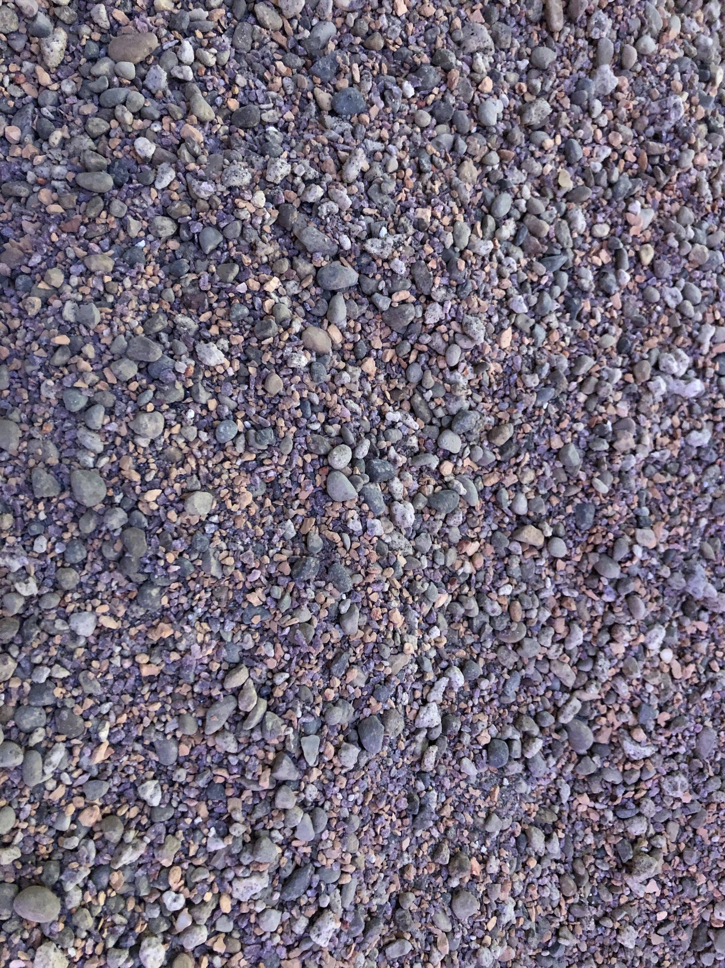 LITHOPS Living Stone Premium Potting Mix: 1/2 Gallon