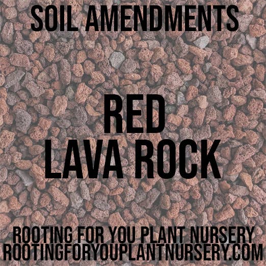 Red Lava Rock Soil Amendment 8oz Volume Resealable Bags Organic - Oregon Licensed Nursery - Measured in 8oz Volume 6x9x3 Bag: 8oz 6x9x3 Bag