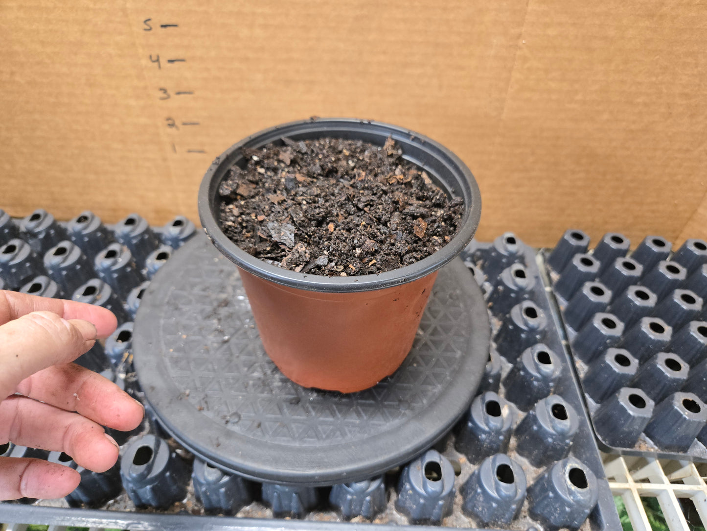 6IN POT ADD ON