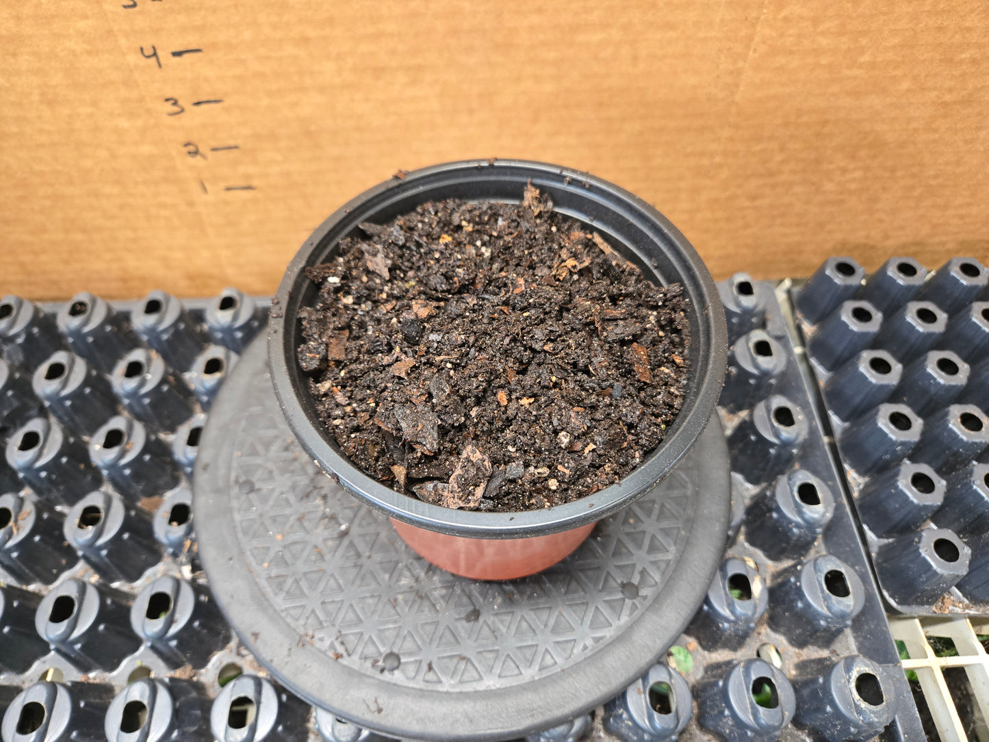 6IN POT ADD ON