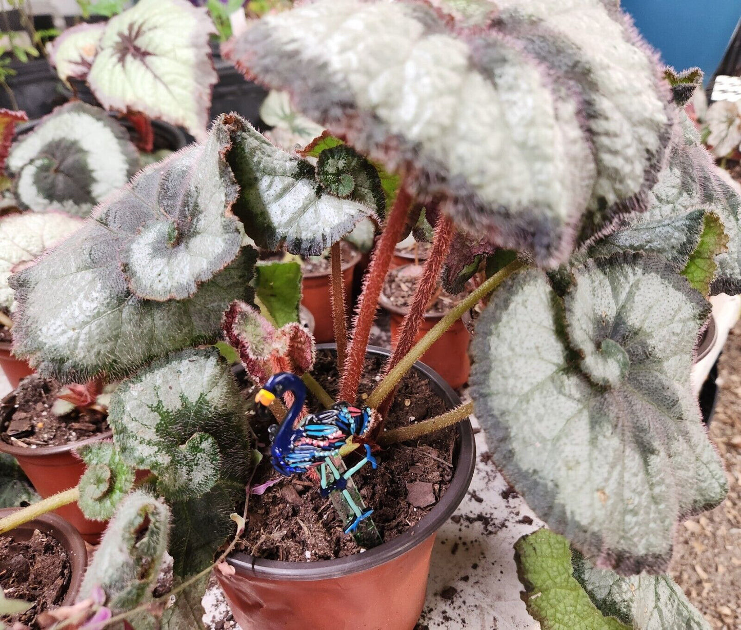Plant Buddies-Handcrafted Dark FLAMINGO Plant / Garden Stake