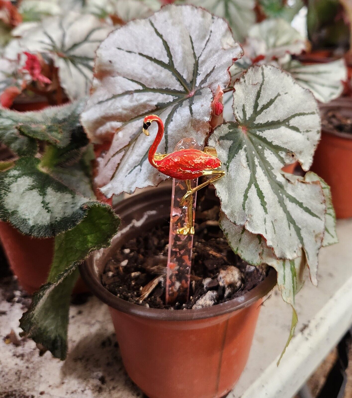 Plant Buddies-Handcrafted Pink FLAMINGO Plant / Garden Stake