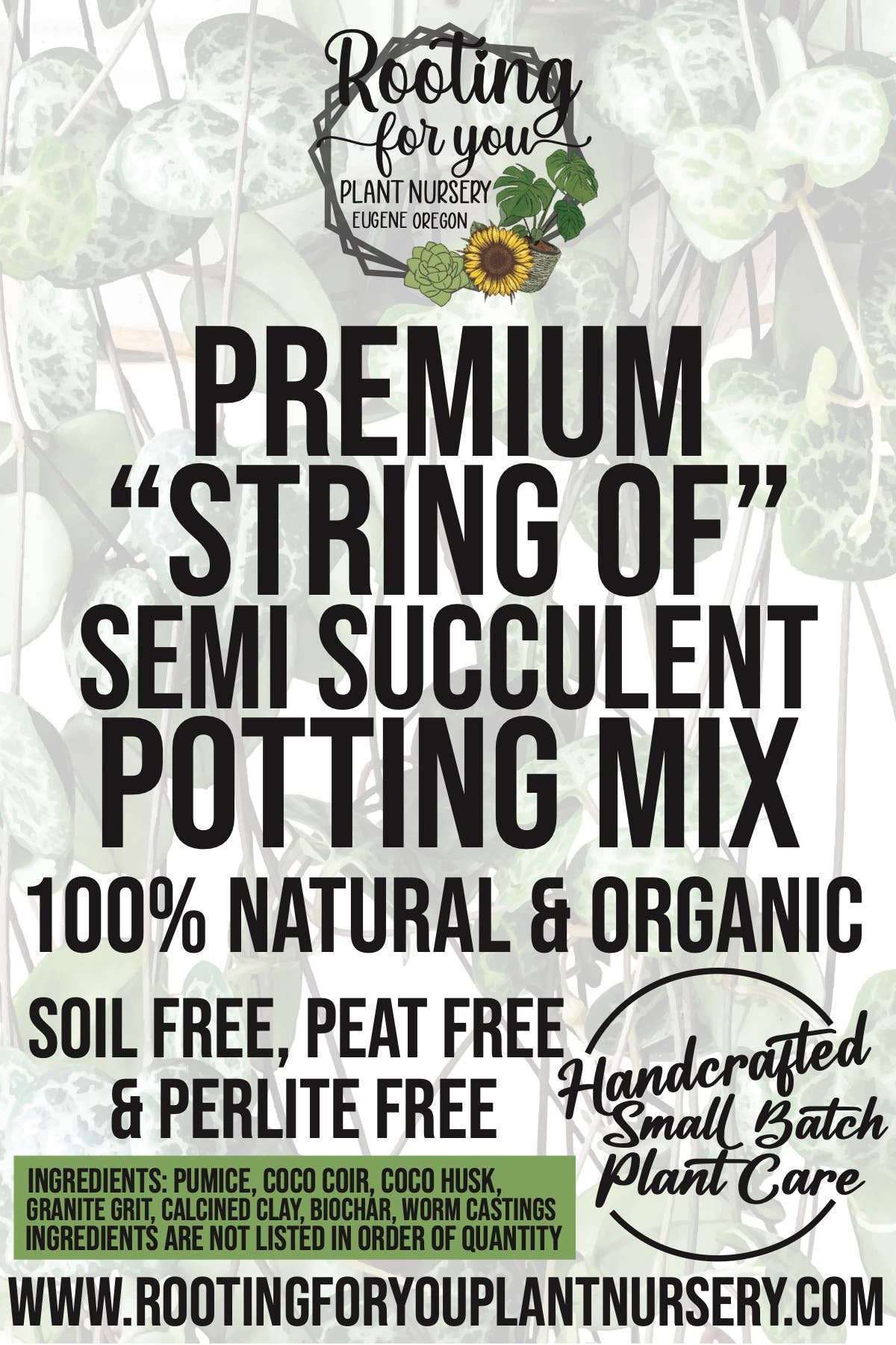 STRING OF SEMI SUCCULENT Premium Potting Mix: 1/2 Gallon