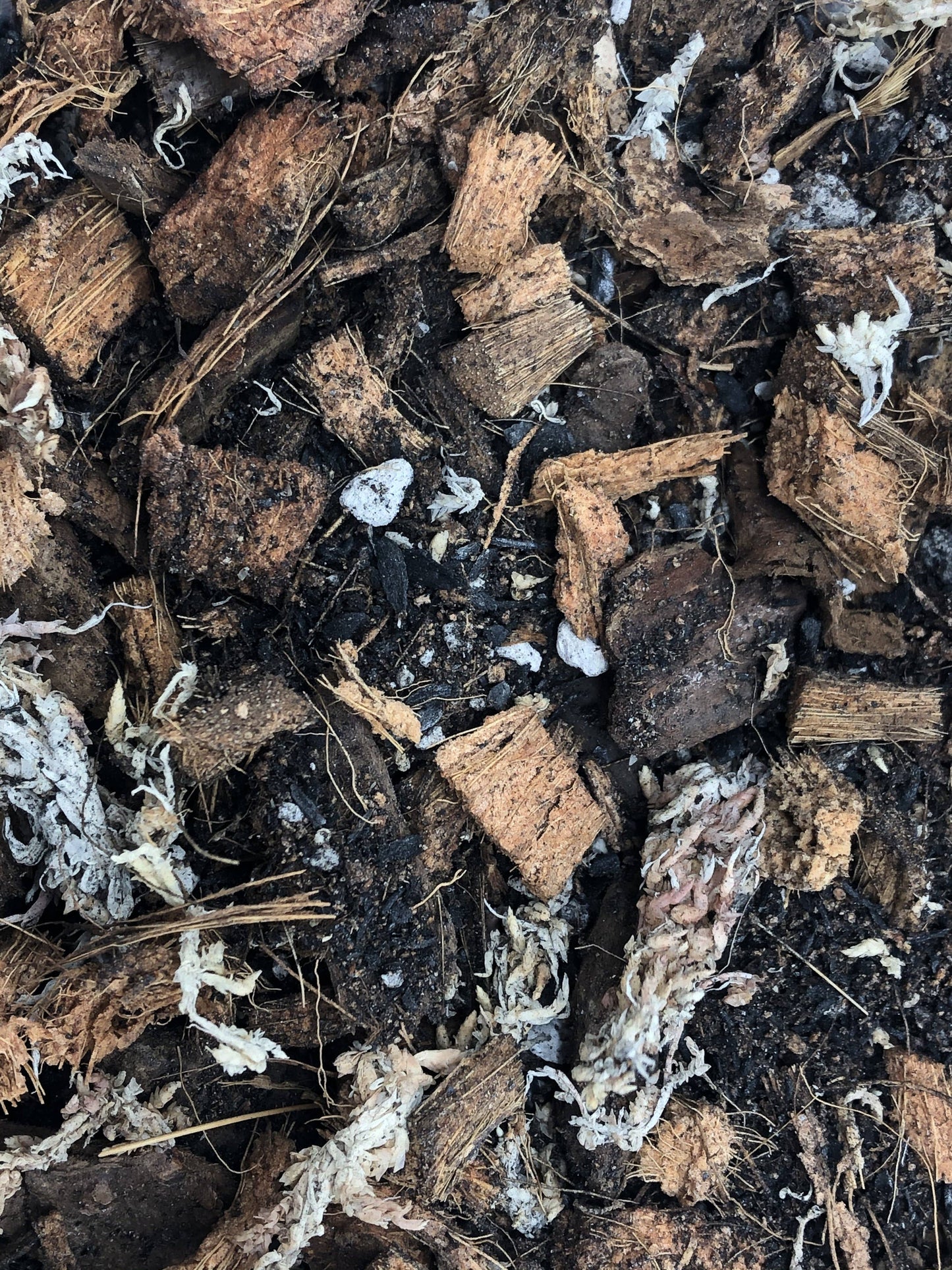 ORCHID Premium Potting Mix: 1/2 Gallon