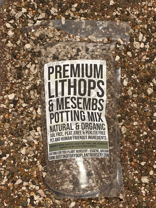 LITHOPS Living Stone Premium Potting Mix: 1/2 Gallon