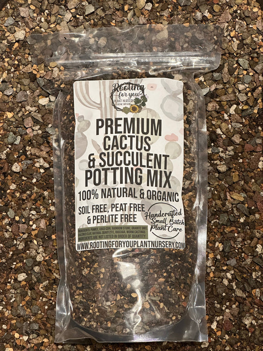 CACTUS & SUCCULENT Premium Potting Mix: 1/2 Gallon