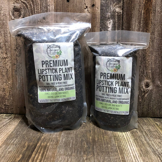LIPSTICK PLANT Premium Potting Mix: 1/2 Gallon
