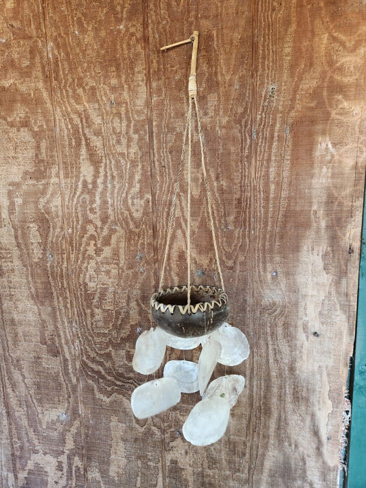 Cute Coconut Shell Hanging Plant Holder Handmade